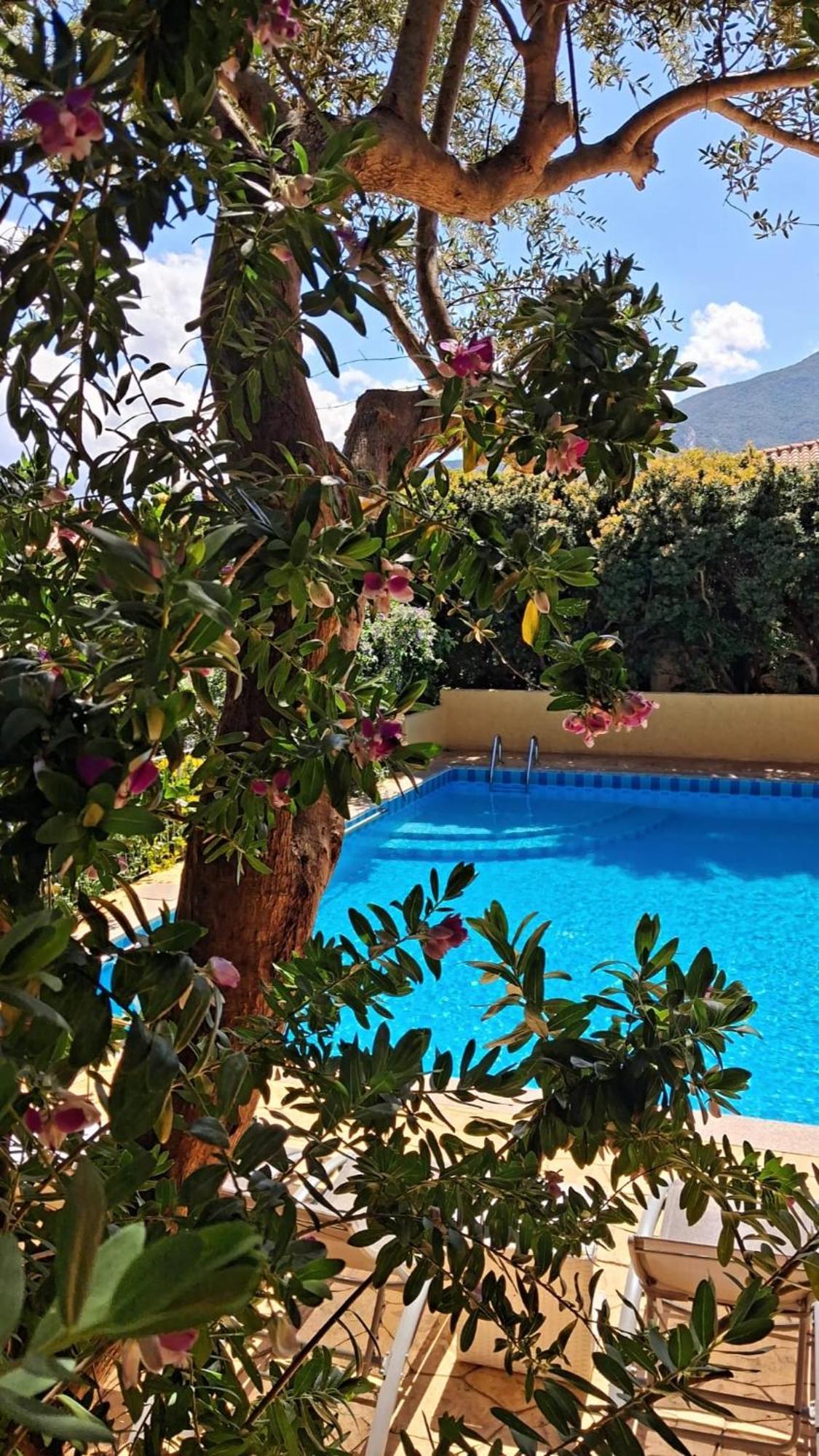 קאלה גונונה Hotel La Playa מראה חיצוני תמונה